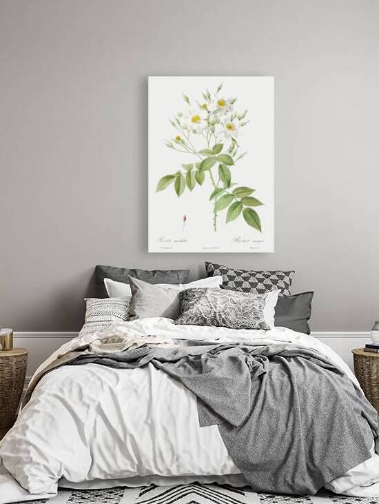 Vintage musk rose by IStockHistory com