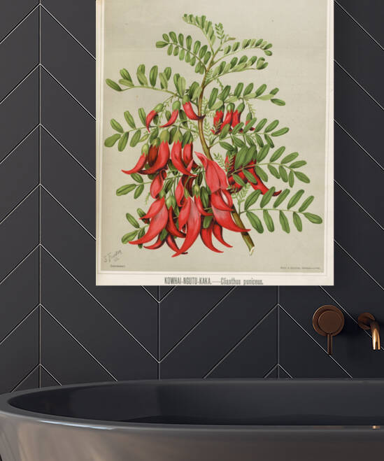 Sarah Featon 022 by IStockHistory com