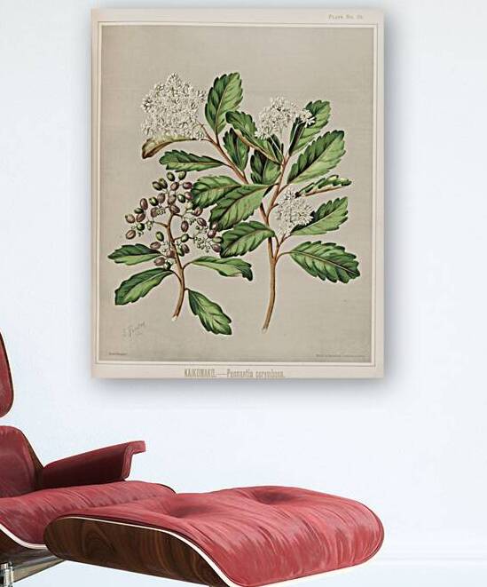 Sarah Featon 019 by IStockHistory com