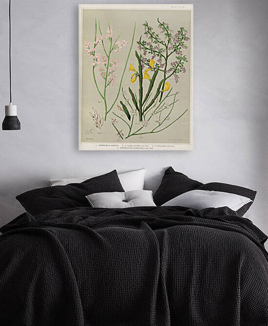 Sarah Featon 002 by IStockHistory com