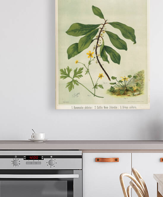 Sarah Featon 013 by IStockHistory com