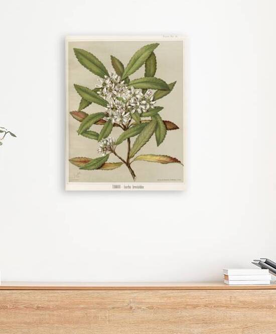 Sarah Featon 031 by IStockHistory com