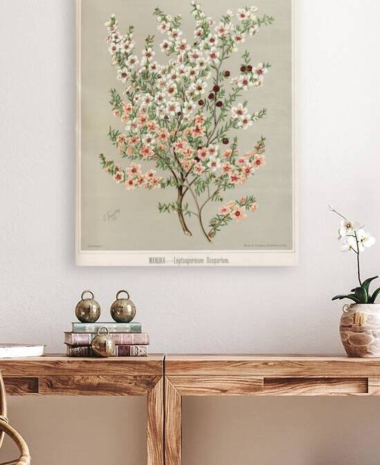 Sarah Featon 026 by IStockHistory com