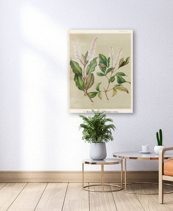 Sarah Featon 008 by IStockHistory com