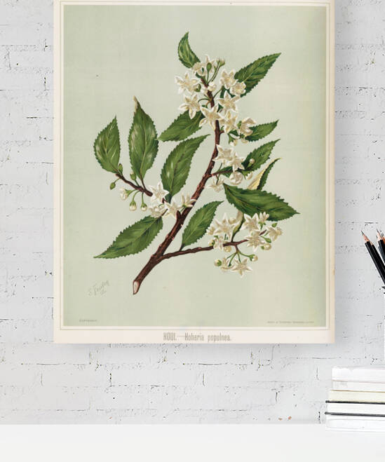 Sarah Featon 018 by IStockHistory com