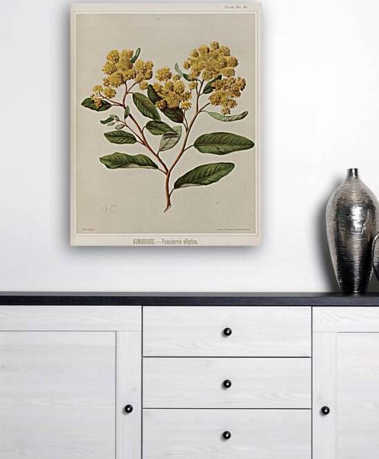 Sarah Featon 023 by IStockHistory com