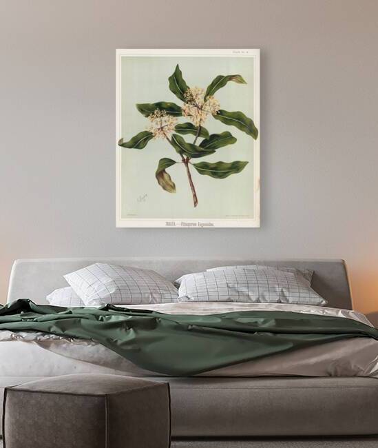 Sarah Featon 030 by IStockHistory com