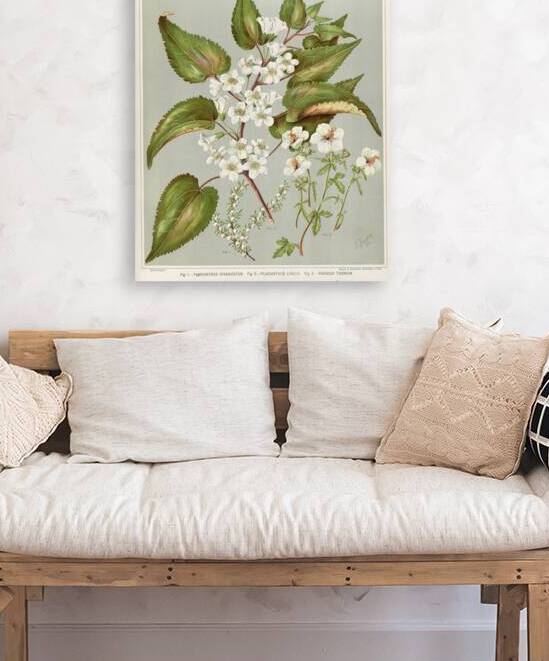 Sarah Featon 016 by IStockHistory com