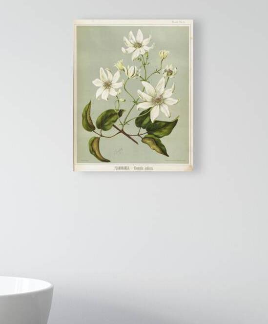 Sarah Featon 029 by IStockHistory com