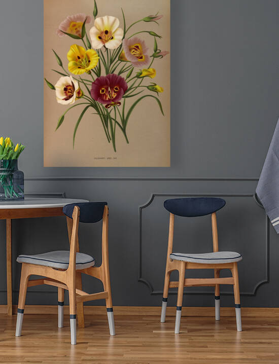 Album van Eeden : Haarlems flora : 1872-1881 by IStockHistory com