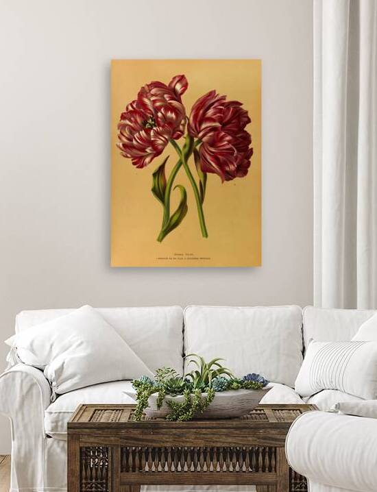 Album van Eeden : Haarlems flora : 1872-1881 by IStockHistory com