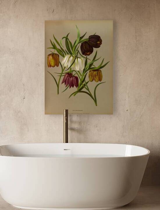 Album van Eeden : Haarlems flora : 1872-1881 by IStockHistory com