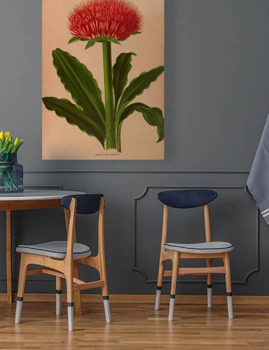 Album van Eeden : Haarlems flora : 1872-1881 by IStockHistory com