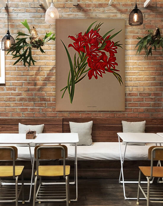 Album van Eeden : Haarlems flora : 1872-1881 by IStockHistory com