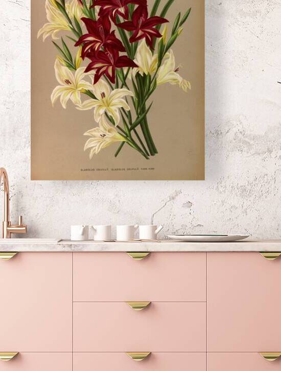 Album van Eeden : Haarlems flora : 1872-1881 by IStockHistory com