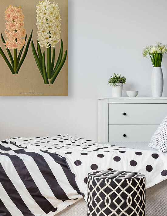 Album van Eeden : Haarlems flora : 1872-1881 by IStockHistory com