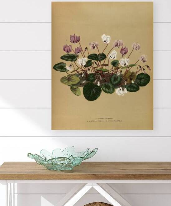 Album van Eeden : Haarlems flora : 1872-1881 by IStockHistory com