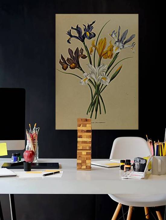 Album van Eeden : Haarlems flora : 1872-1881 by IStockHistory com