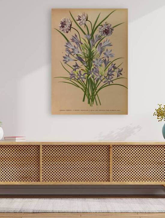 Album van Eeden : Haarlems flora : 1872-1881 by IStockHistory com