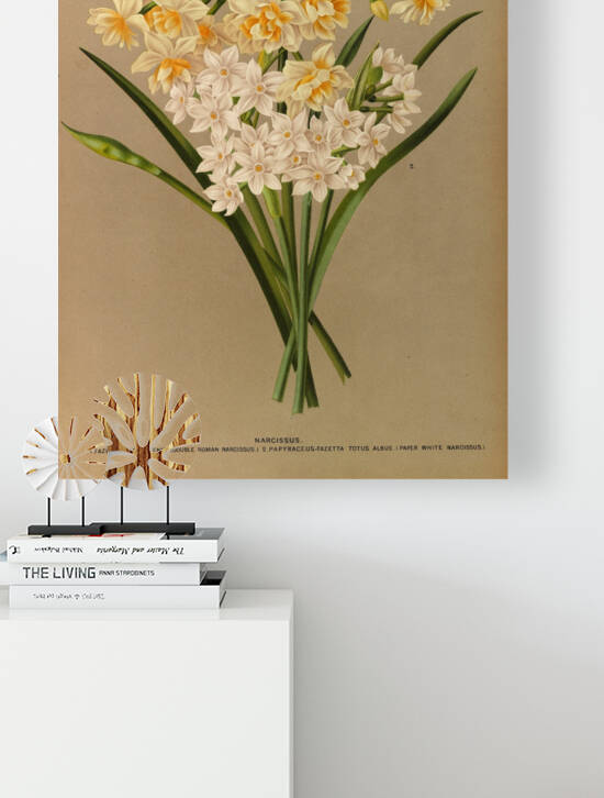 Album van Eeden : Haarlems flora : 1872-1881 by IStockHistory com