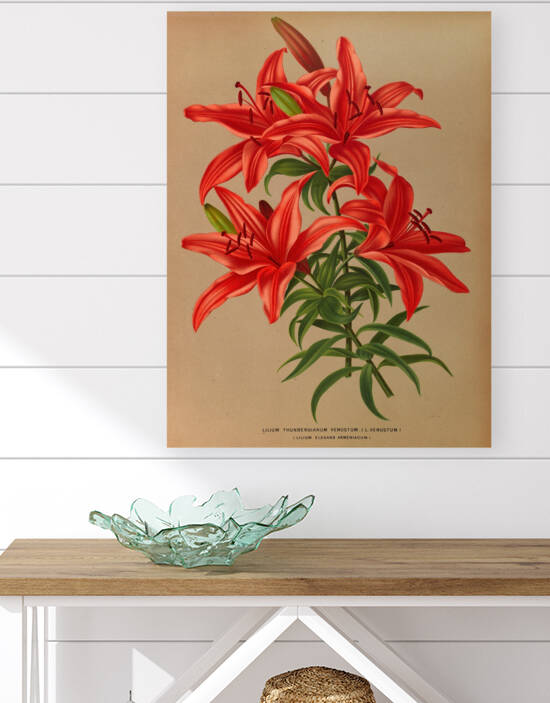 Album van Eeden : Haarlems flora : 1872-1881 by IStockHistory com