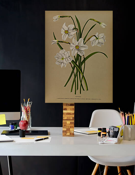 Album van Eeden : Haarlems flora : 1872-1881 by IStockHistory com