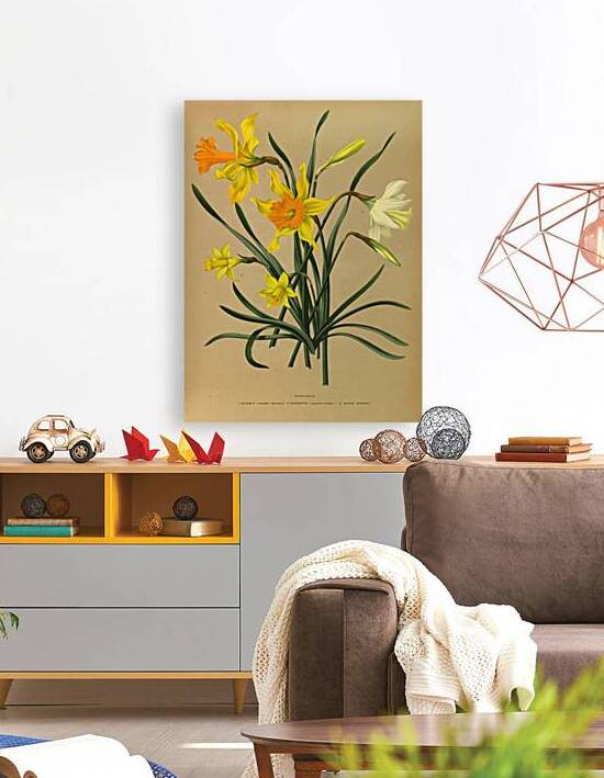 Album van Eeden : Haarlems flora : 1872-1881 by IStockHistory com