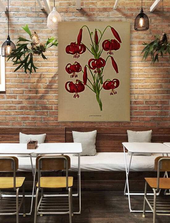 Album van Eeden : Haarlems flora : 1872-1881 by IStockHistory com