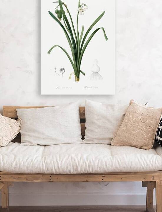 Summer snowflake illustration  by IStockHistory com