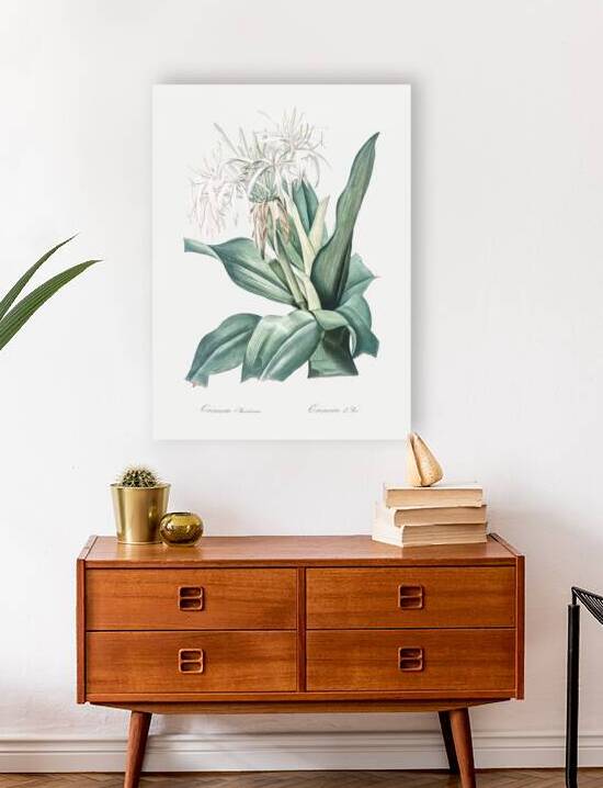 Poison bulb illustration  by IStockHistory com