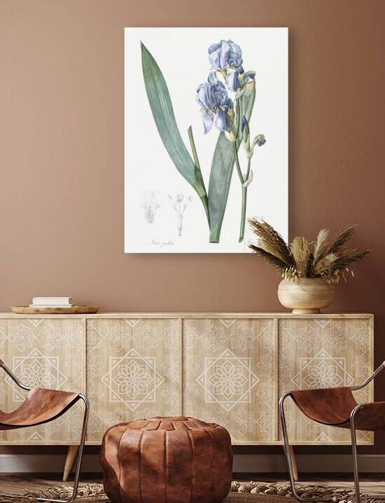 Josephine & lily illustration  by IStockHistory com