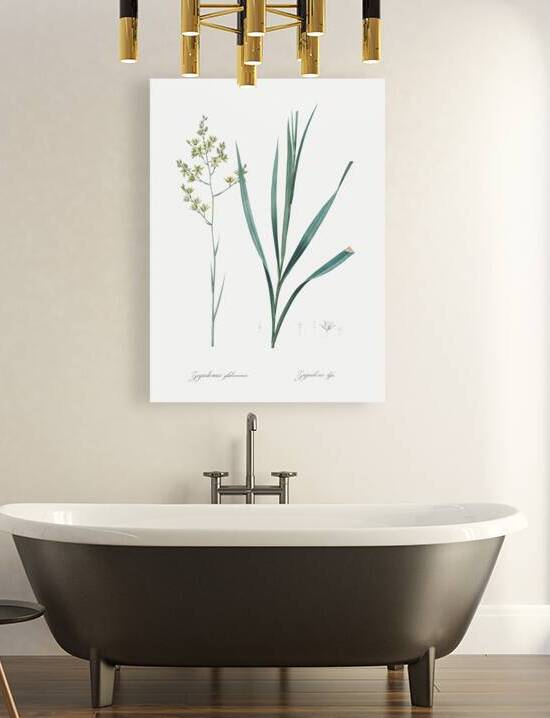 Sandbog death camas illustration  by IStockHistory com