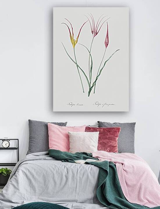 Sandbog death camas illustration  by IStockHistory com