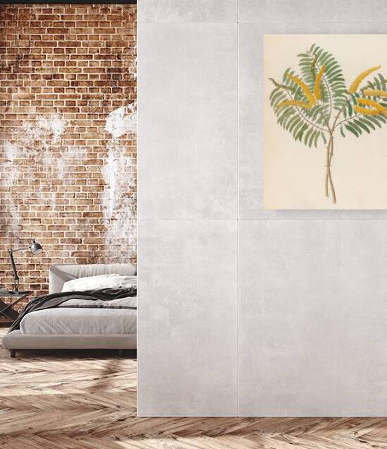 Mimosa [Acacia caffra] 1817 by IStockHistory com