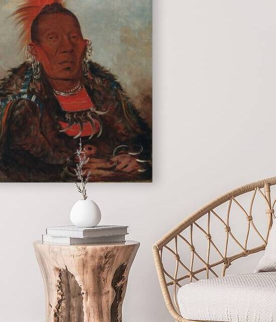 Wah-ro-née-sah The Surrounder Chief of the Tribe by IStockHistory com