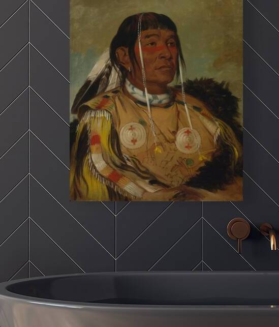 Sha-có-pay The Six Chief of the Plains Ojibwa by IStockHistory com