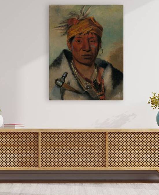 Ah-Yaw-Ne-Tak-Oár-Ron a Warrior 1831 by IStockHistory com