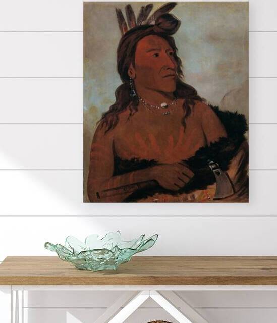 Mah-Tó-Che-Ga Little Bear a Hunkpapa Brave 1832 by IStockHistory com