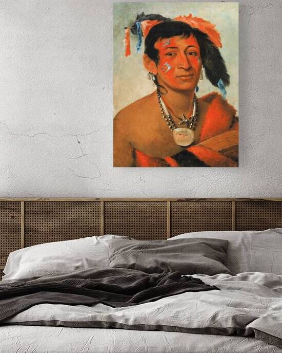 Sha-Wá-No The South a Noted Warrior 1831 by IStockHistory com