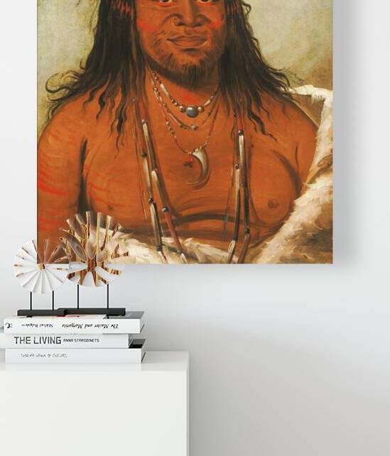 Ta-Wáh-Que-Nah Mountain of Rocks Second Chief of The Tribe 1834 by IStockHistory com