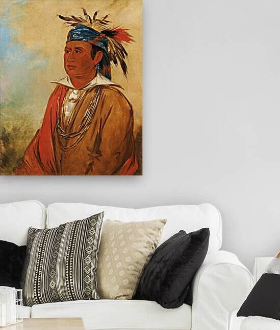 Wah-Pón-Jee-A The Swan a Warrior 1830 by IStockHistory com