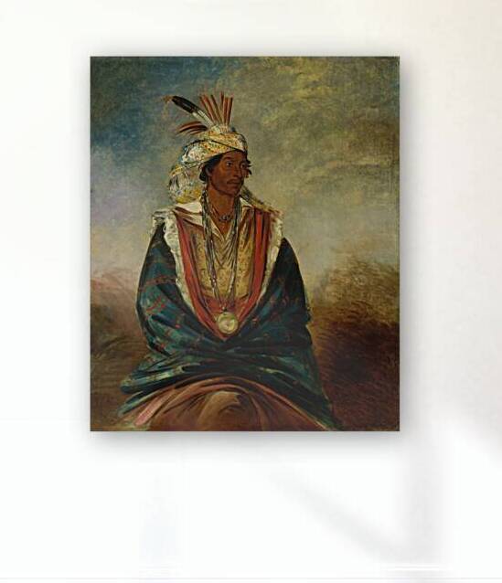 Tel-Maz-Há-Za a Warrior of Distinction 1834 by IStockHistory com