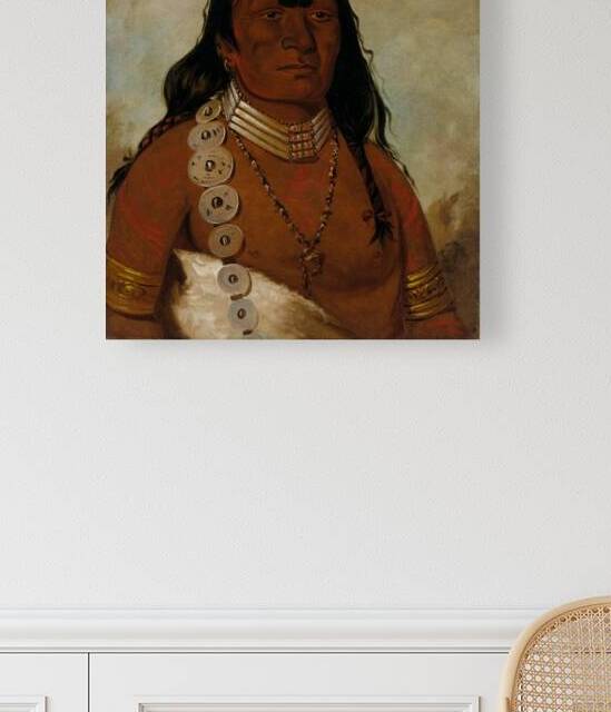 Téh-Tóot-Sah Better Known As Tohausen Little Bluff First Chief 1834 by IStockHistory com