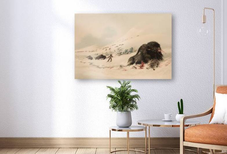 Buffalo Bull in Snow Drift 1844 by IStockHistory com