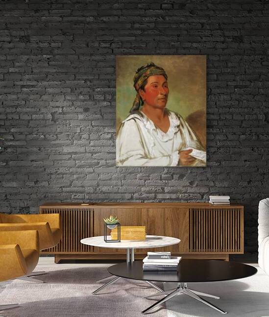 Lay-lóo-ah-pee-ái-shee-kaw Grass Bush and Blossom Semicivilized 1830 by IStockHistory com