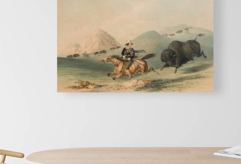 Buffalo Hunt Chasing Back 1844 by IStockHistory com