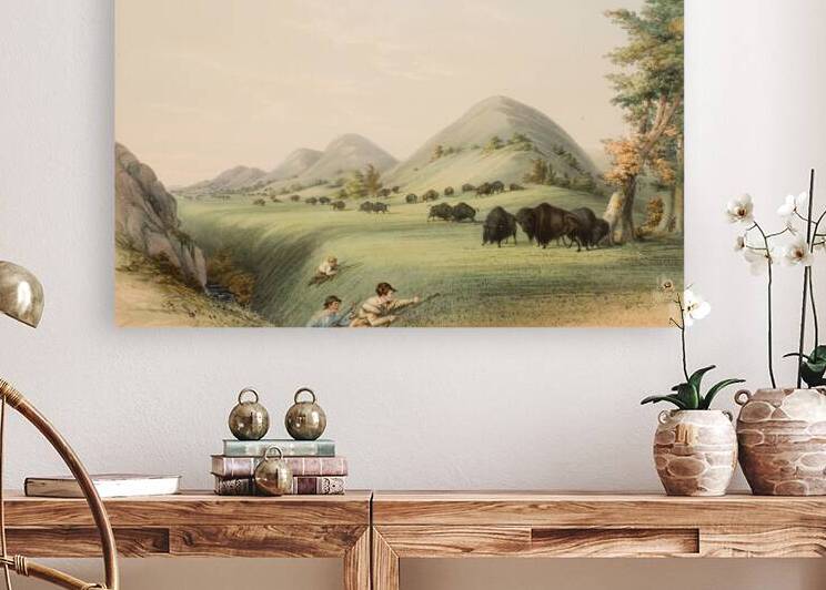 Buffalo Hunt Approaching in a Ravine 1844 by IStockHistory com