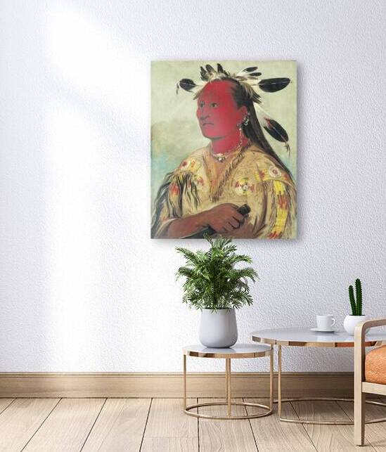 Stán-au-pat Bloody Hand Chief of the Tribe 1832 by IStockHistory com