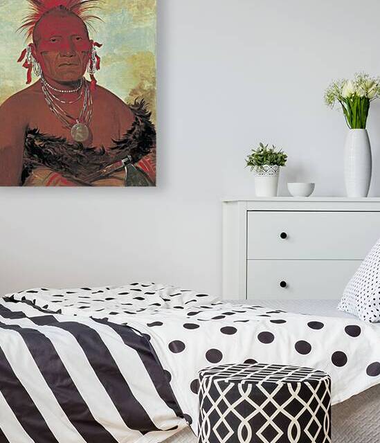 Shón-ka-ki-he-ga Horse Chief Grand Pawnee Head Chief 1832 by IStockHistory com