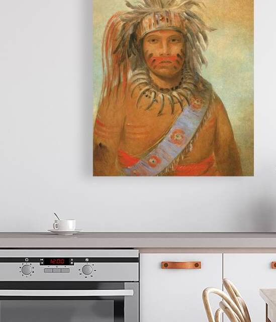 Au-nim-muck-kwa-um Tempest Bird 1845 by IStockHistory com